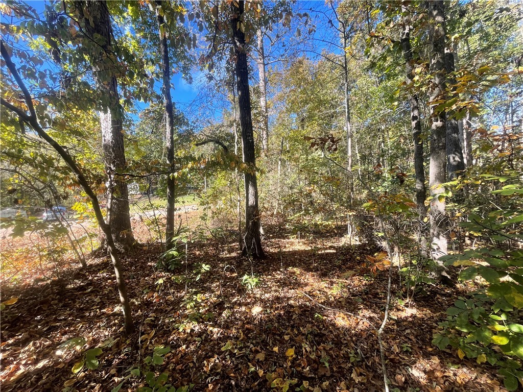 Tract E Vine Road Westminster, SC 29693 - Photo 4 of 11