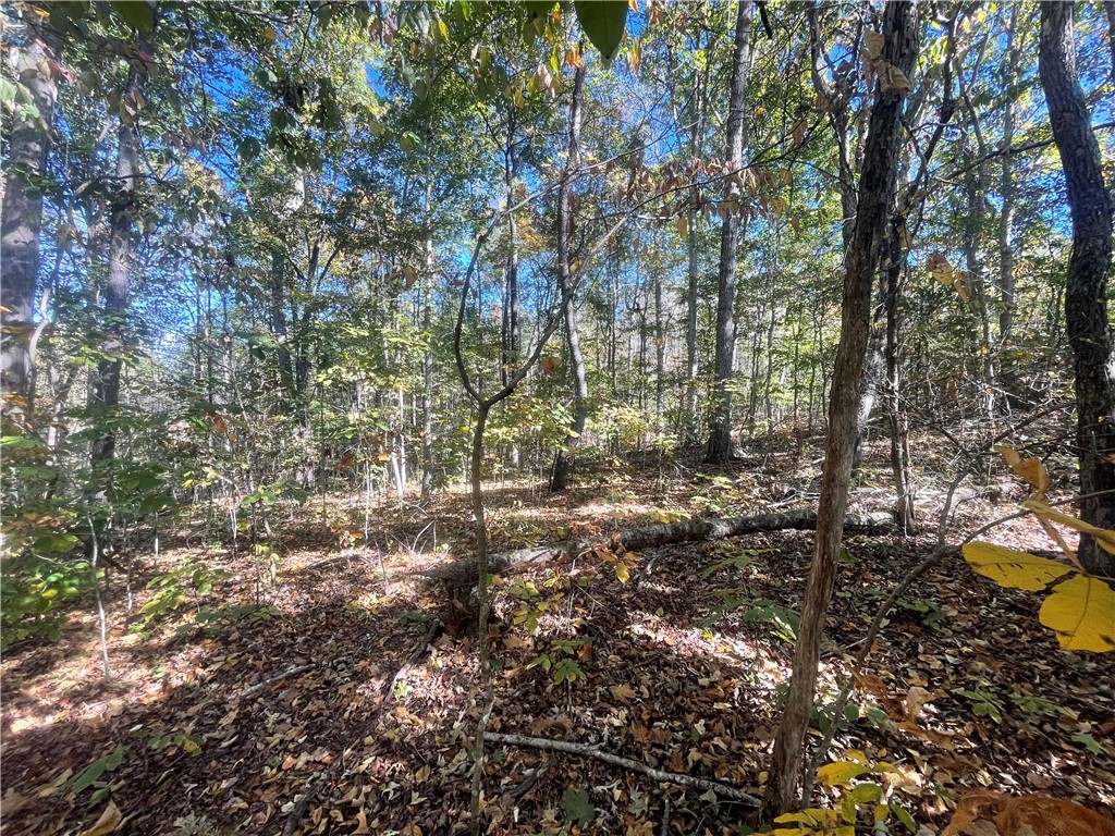 Tract E Vine Road Westminster, SC 29693 - Photo 6 of 11