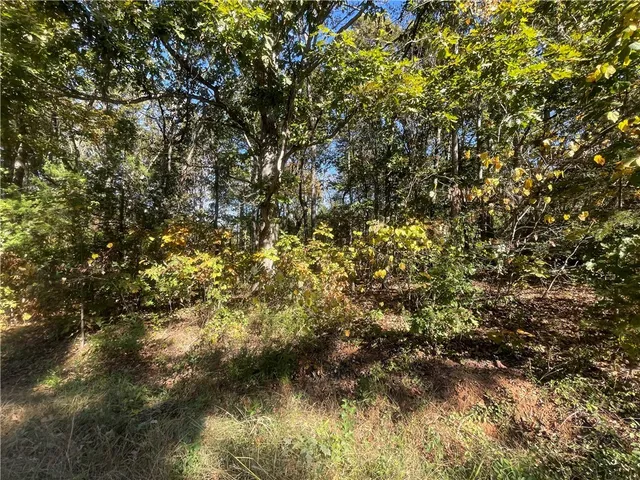 $39,900 | Tract E Vine Road, Westminster, SC 29693