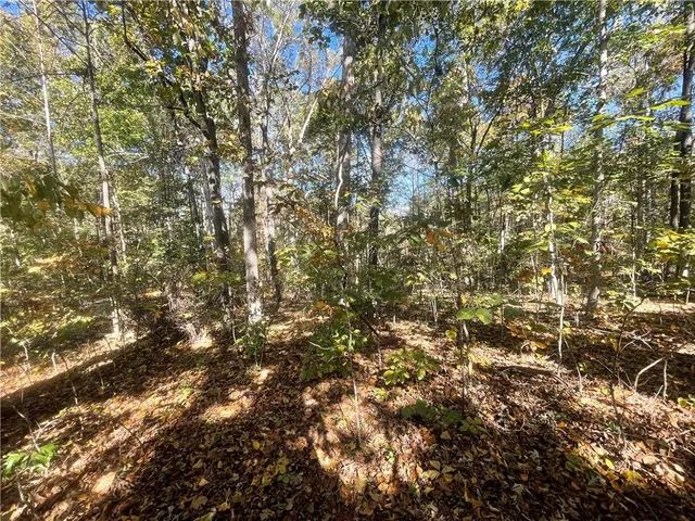 $39,900 | Tract E Vine Road, Westminster, SC 29693