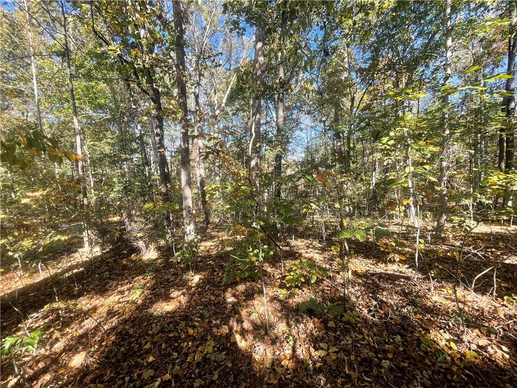 Tract E Vine Road Westminster, SC 29693 - Photo 8 of 11