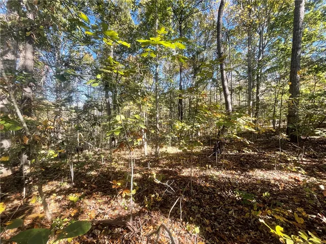 $39,900 | Tract E Vine Road, Westminster, SC 29693