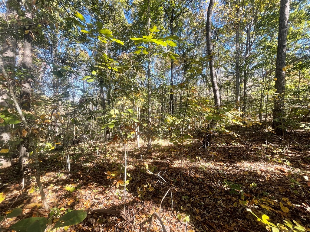 Tract E Vine Road Westminster, SC 29693 - Photo 9 of 11
