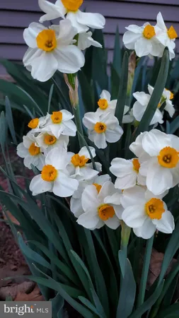 $699,900 | 201 Liberty Lane, Middletown, VA 22645