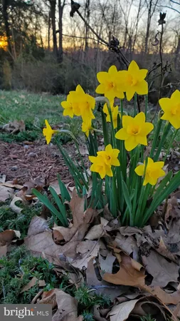 $699,900 | 201 Liberty Lane, Middletown, VA 22645