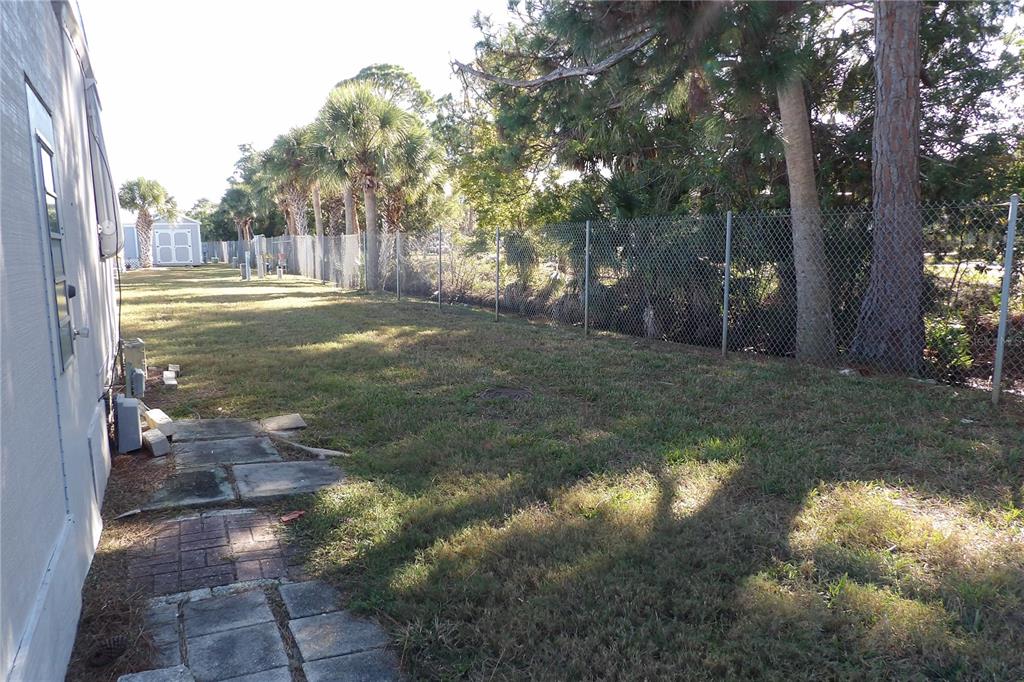 6608 Roosevelt Drive Port Richey, FL 34668 - Photo 35 of 39 a view of a yard with large trees