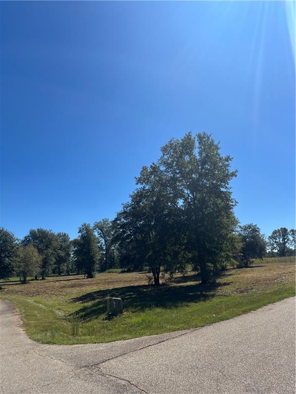 3 Gemstone Drive Franklinton, LA 70438 - Photo 1 of 3