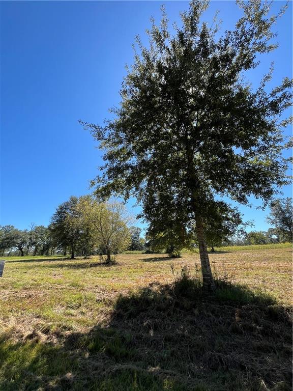 3 Gemstone Drive Franklinton, LA 70438 - Photo 2 of 3