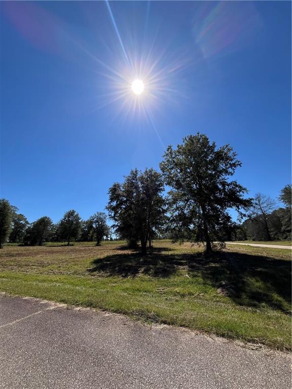 3 Gemstone Drive Franklinton, LA 70438 - Photo 3 of 3
