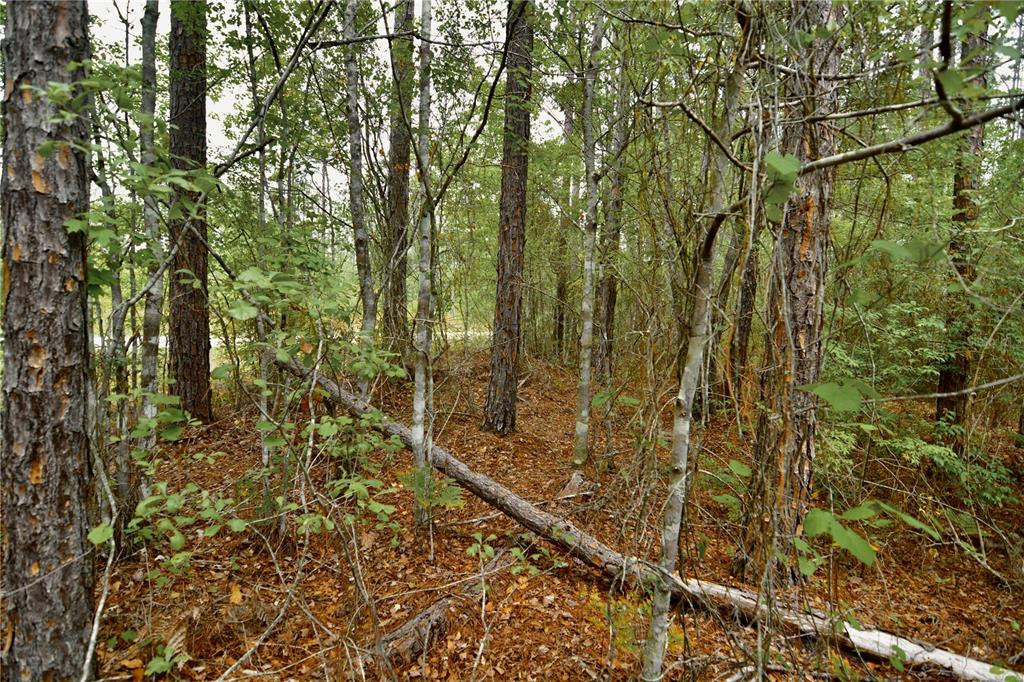 Sweet Gum Road Glen St. Mary, FL 32040 - Photo 31 of 44
