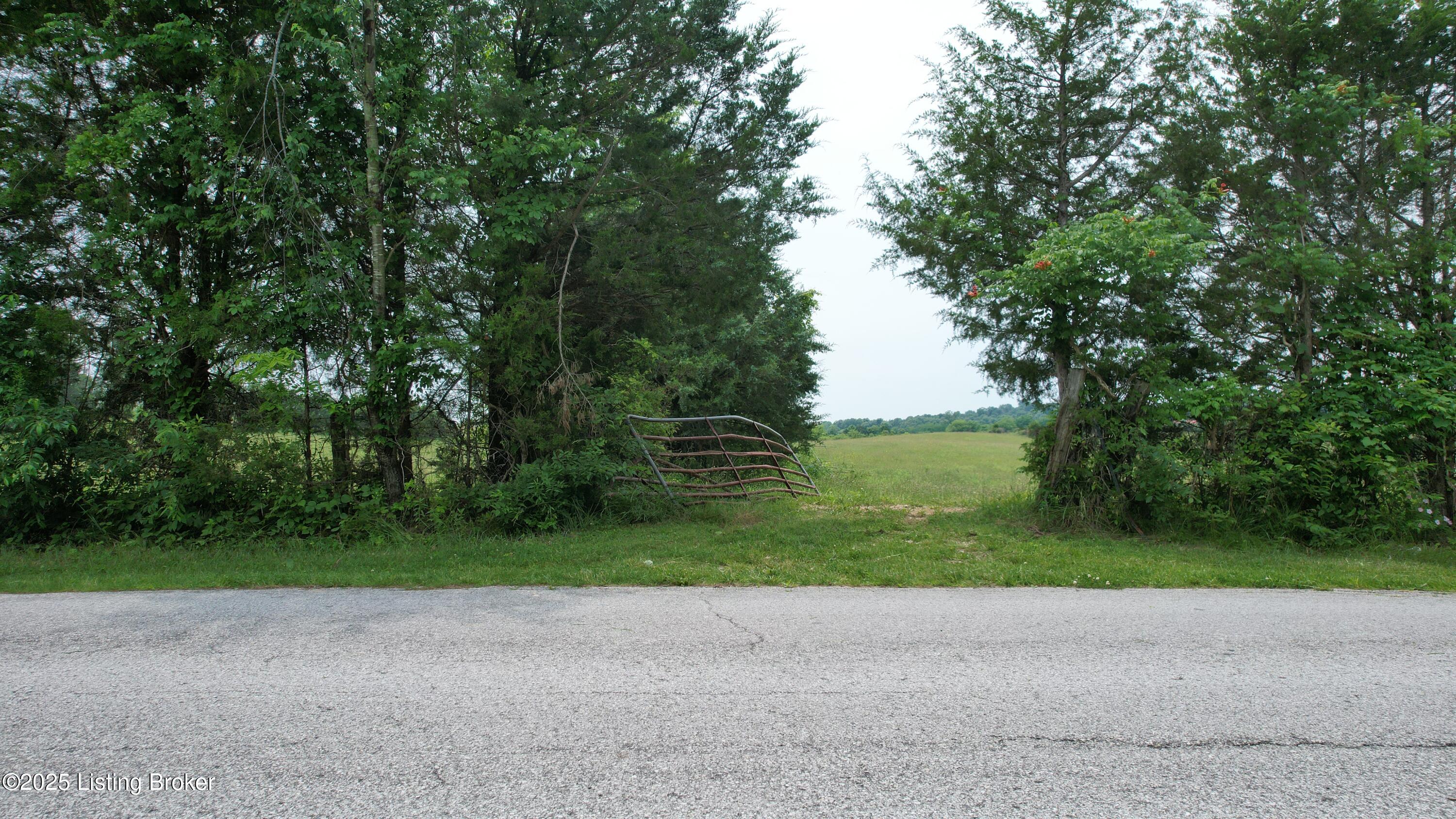 0 Upton Road Upton, KY 42784 - Photo 6 of 71 DJI_0885