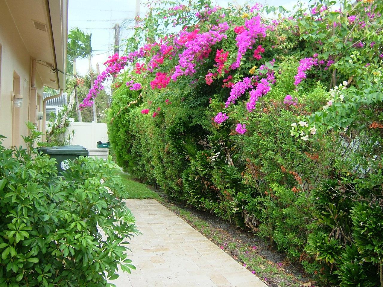 847 Northwest 6th Drive Boca Raton, FL 33486 - Photo 19 of 20 East Side Yard