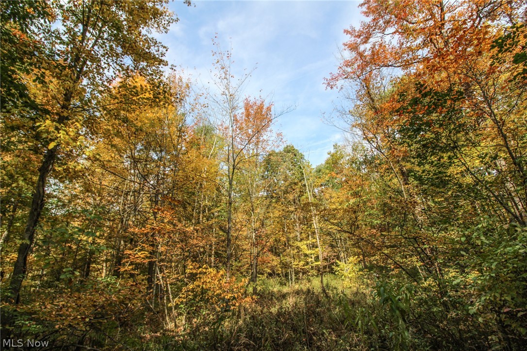 0 Kyle Road Dorset, OH 44032 - Photo 35 of 35 Gallery Image 35