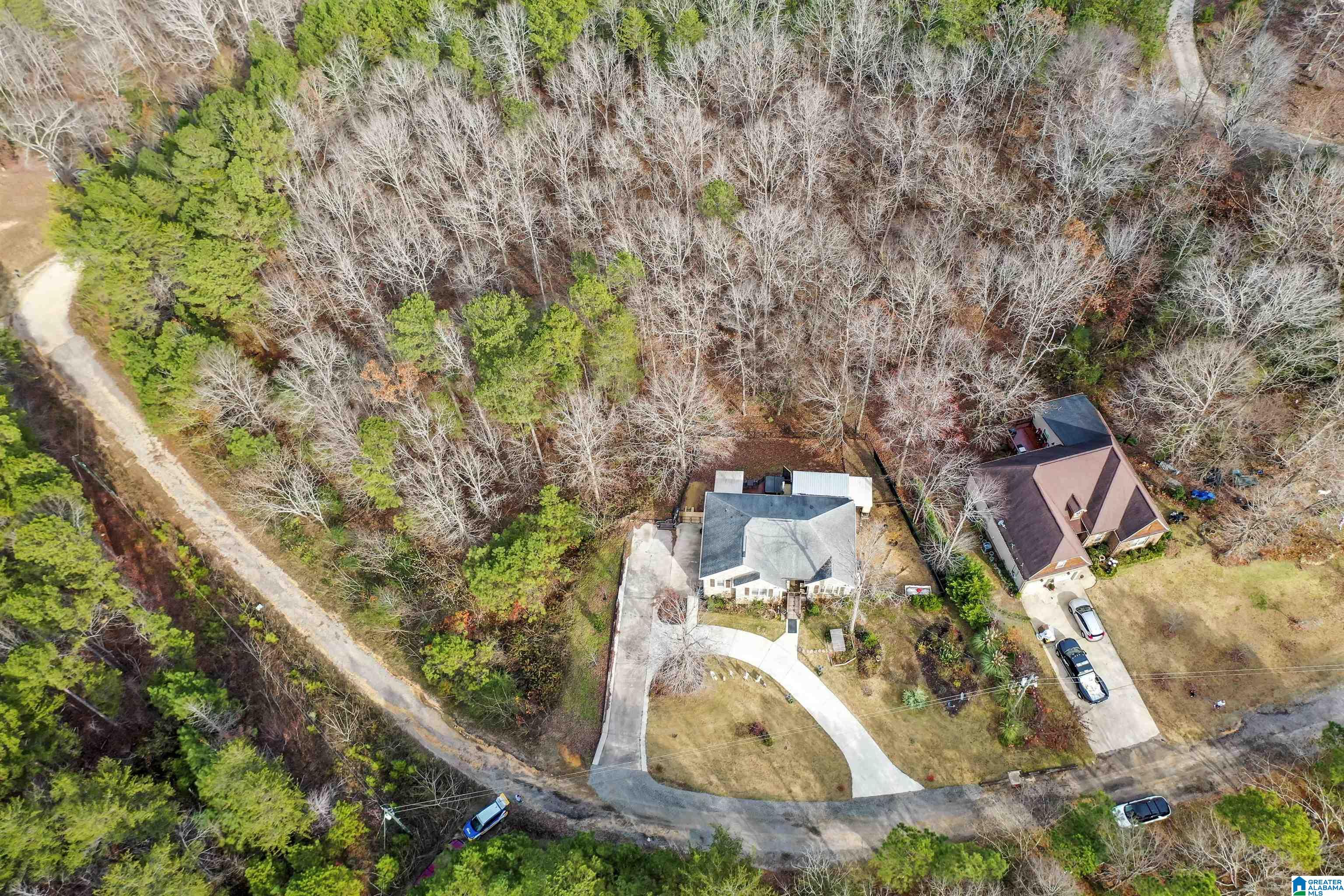 269 Blount Ridge Drive Warrior, AL 35180 - Photo 40 of 40