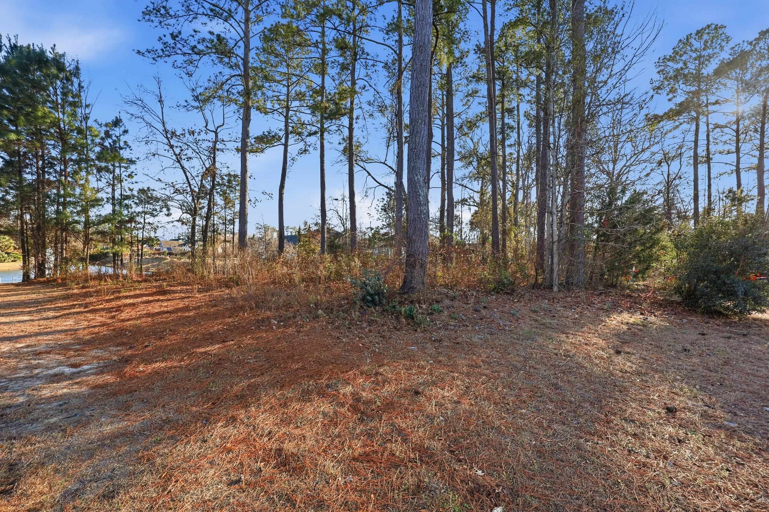 908 Rivers End Court Conway, SC 29526 - Photo 8 of 22 Gallery Image 8