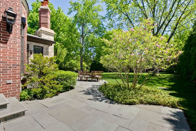 a view of a garden with plants and large trees
