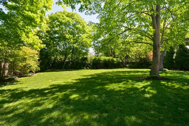 a view of field with tall trees