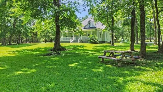 a view of a park with a tree