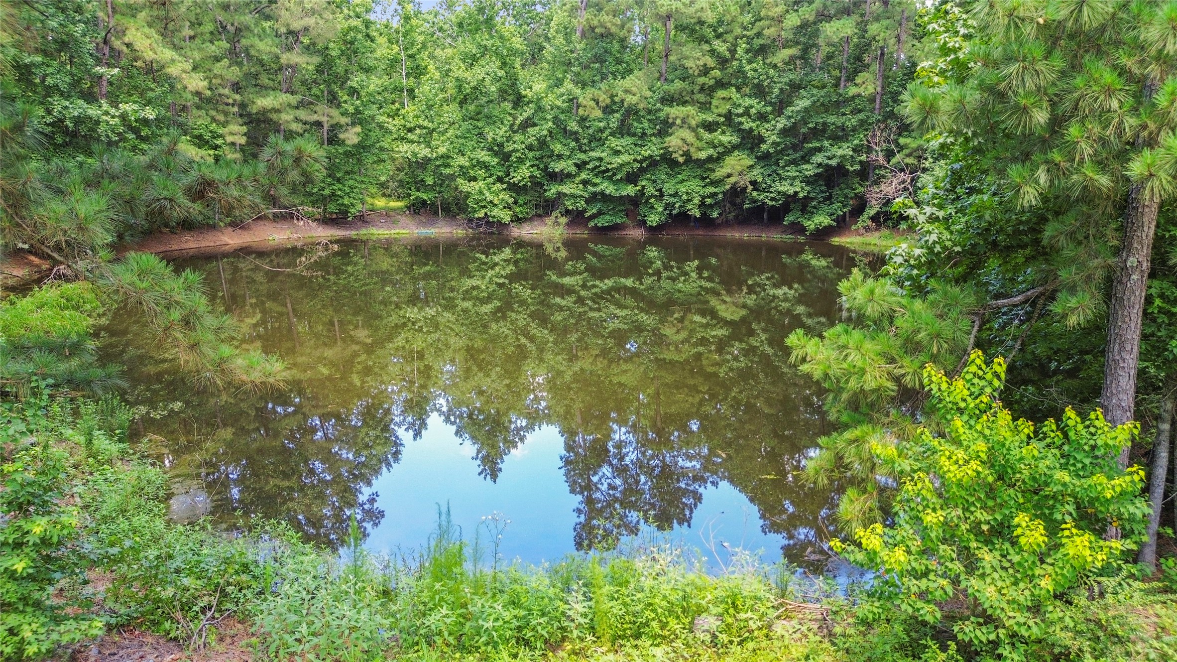 38 Darrell White Road Huntsville, TX 77340 - Photo 41 of 49 a view of a lake in a forest