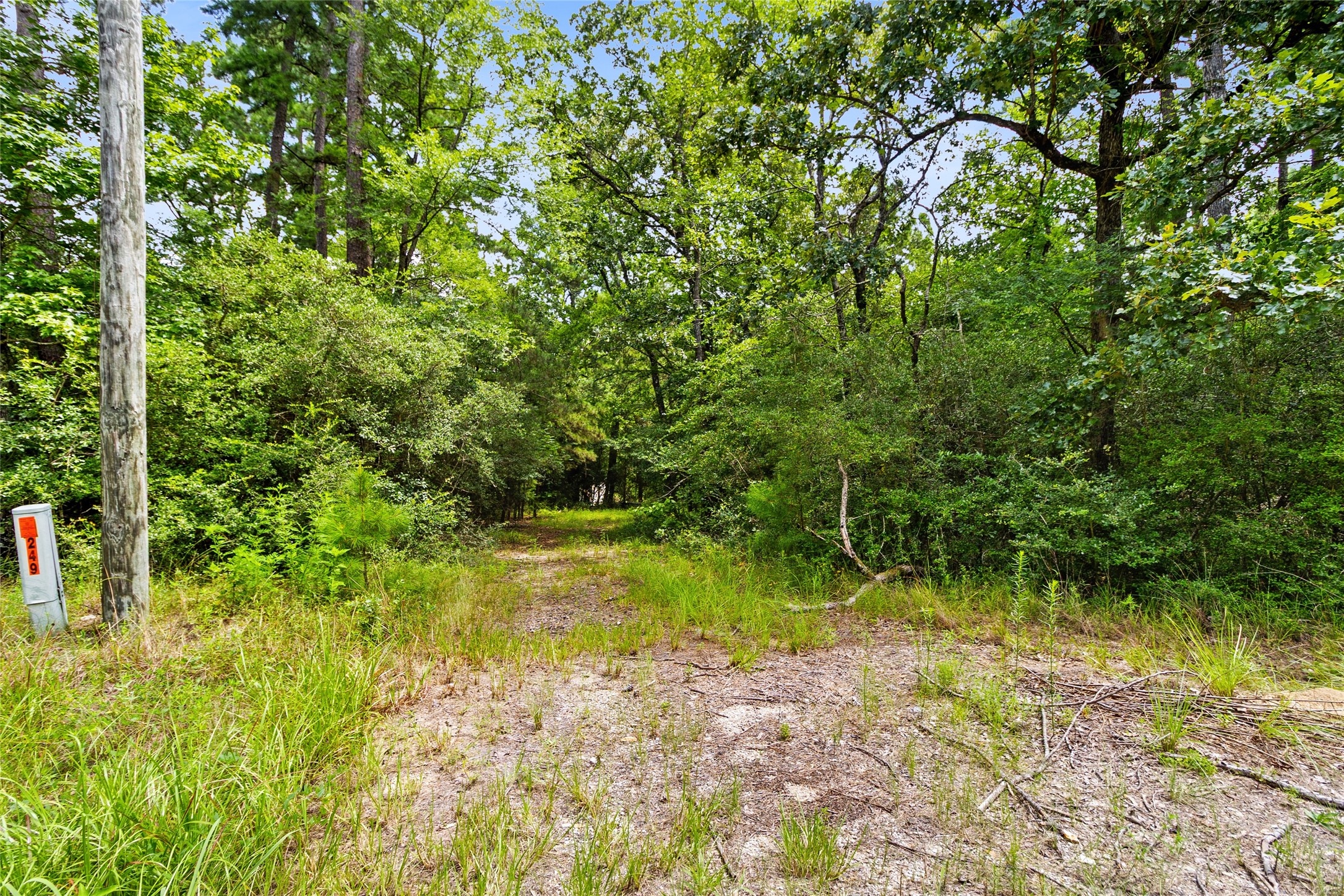 38 Darrell White Road Huntsville, TX 77340 - Photo 45 of 49 a view of swimming pool from a yard