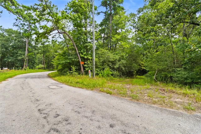 a view of a garden with a slide