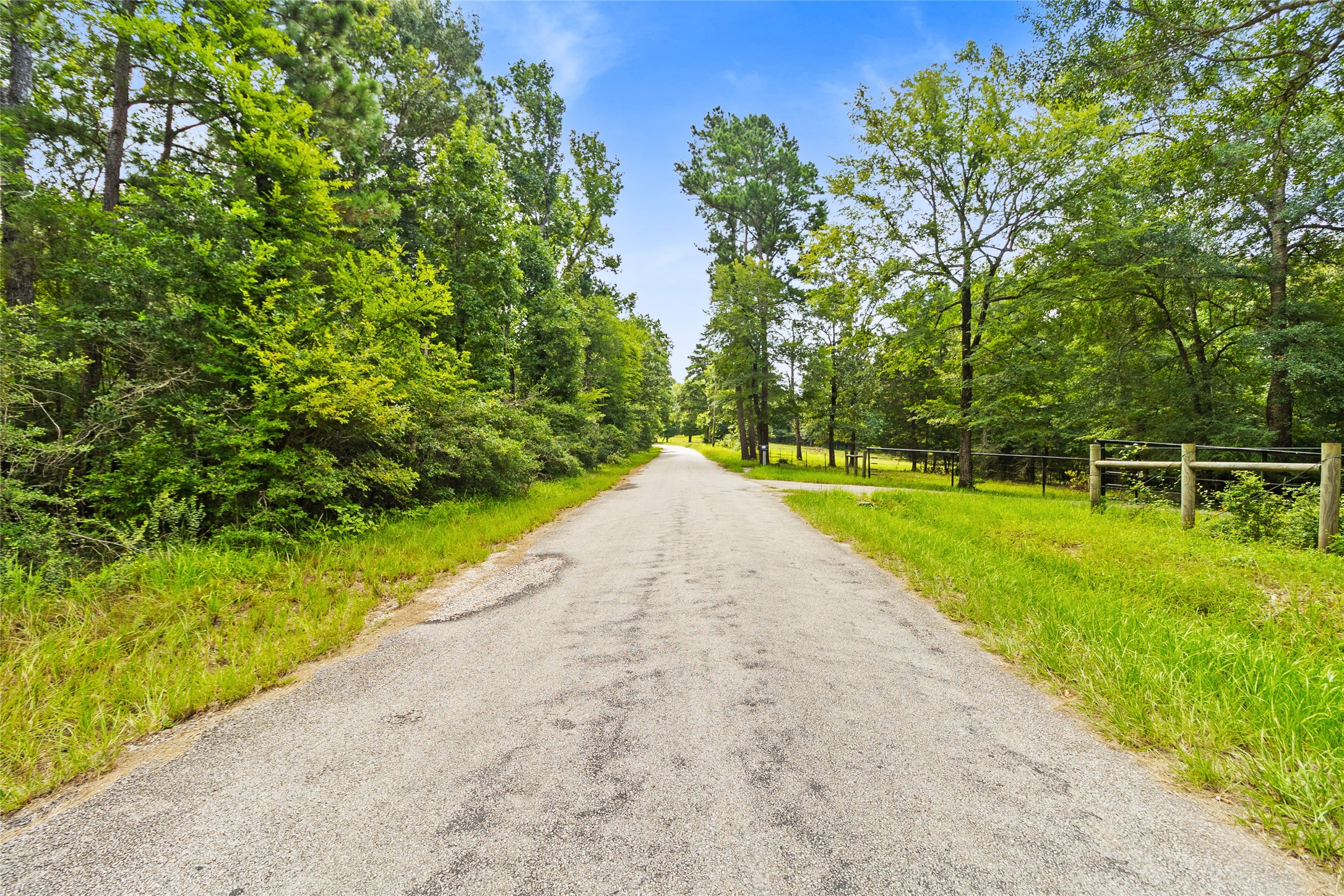 38 Darrell White Road Huntsville, TX 77340 - Photo 47 of 49 a view of a garden with a slide