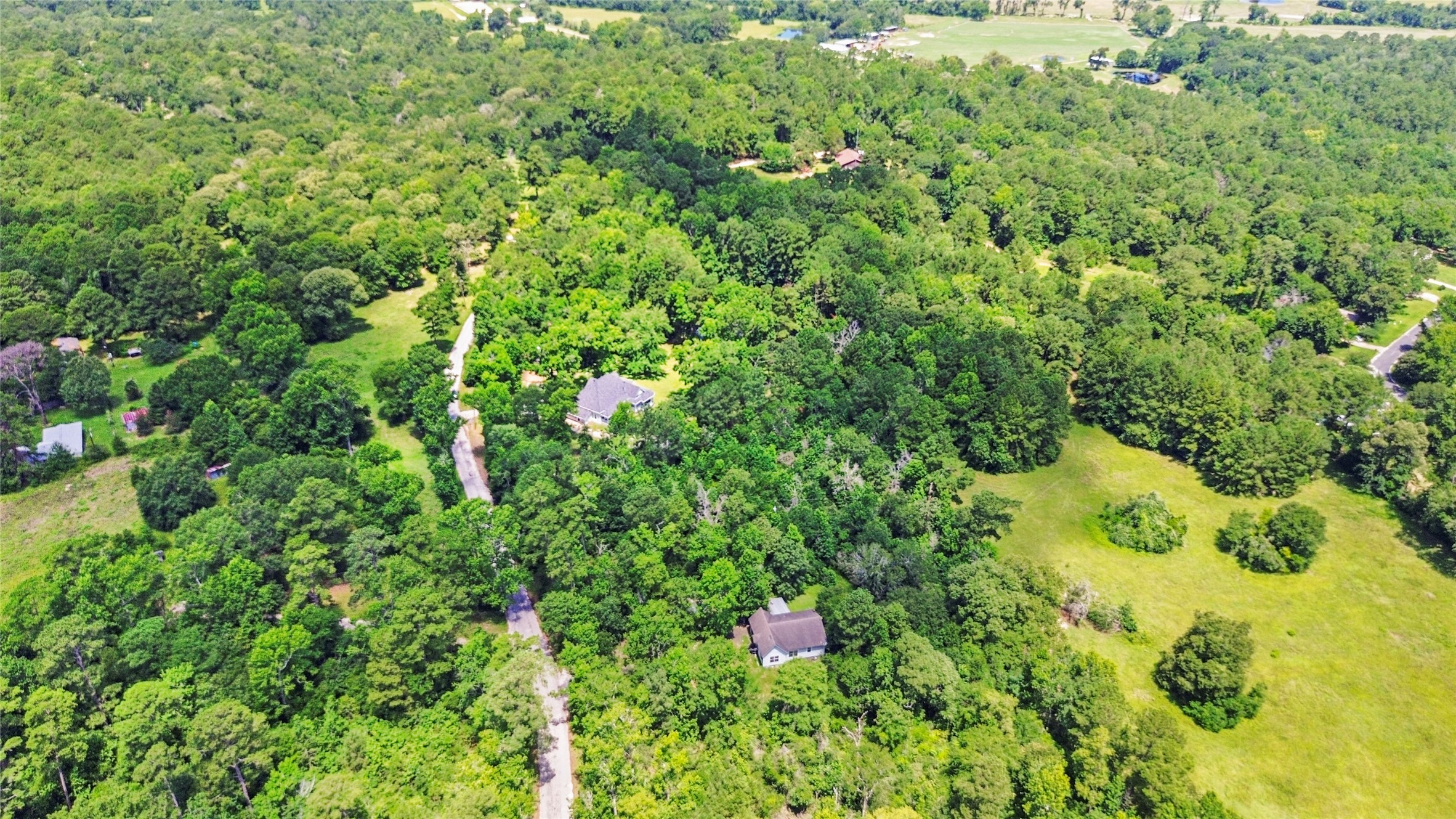 38 Darrell White Road Huntsville, TX 77340 - Photo 49 of 49 a view of a garden with plants
