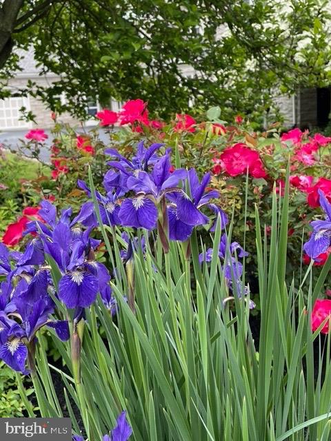 2251 Moore Street Huntingdon, PA 16652 - Photo 101 of 106