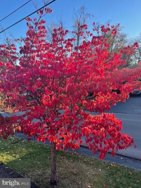 2251 Moore Street Huntingdon, PA 16652 - Photo 103 of 106