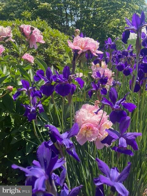 2251 Moore Street Huntingdon, PA 16652 - Photo 104 of 106