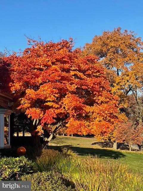 2251 Moore Street Huntingdon, PA 16652 - Photo 105 of 106