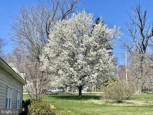 2251 Moore Street Huntingdon, PA 16652 - Photo 106 of 106