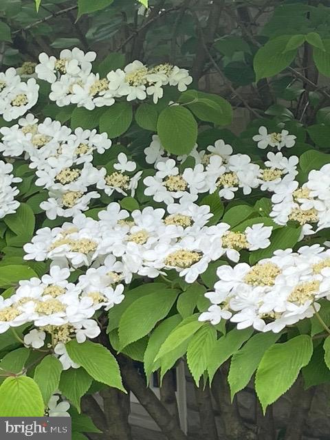 2251 Moore Street Huntingdon, PA 16652 - Photo 25 of 106