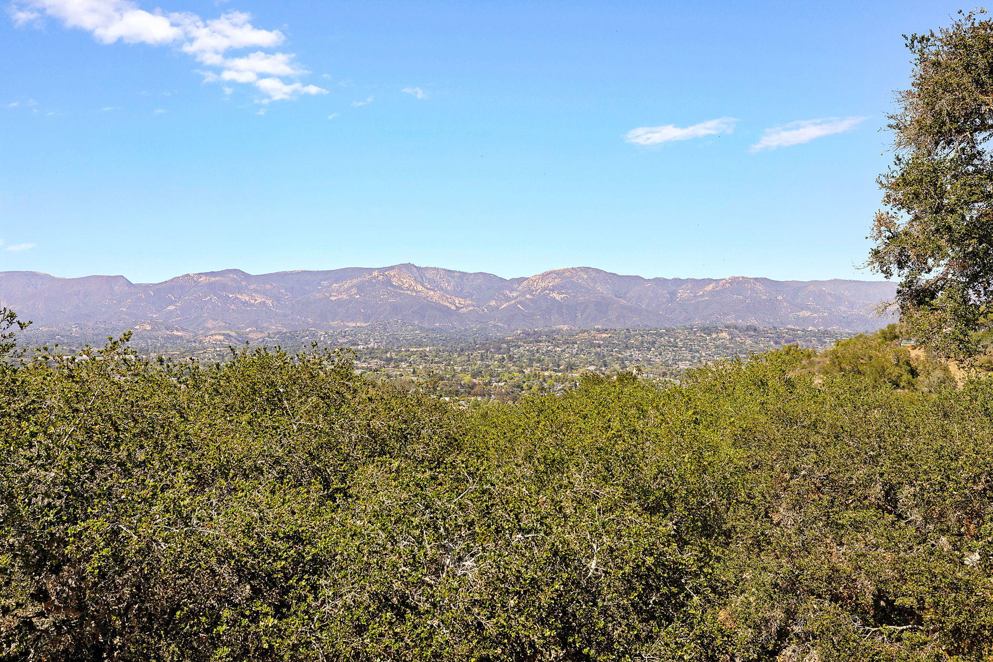 1054 Miramonte Drive, Unit 7 Santa Barbara, CA 93109 - Photo 11 of 29 9-web-or-mls-UpmarketMedia_1054Miramonte