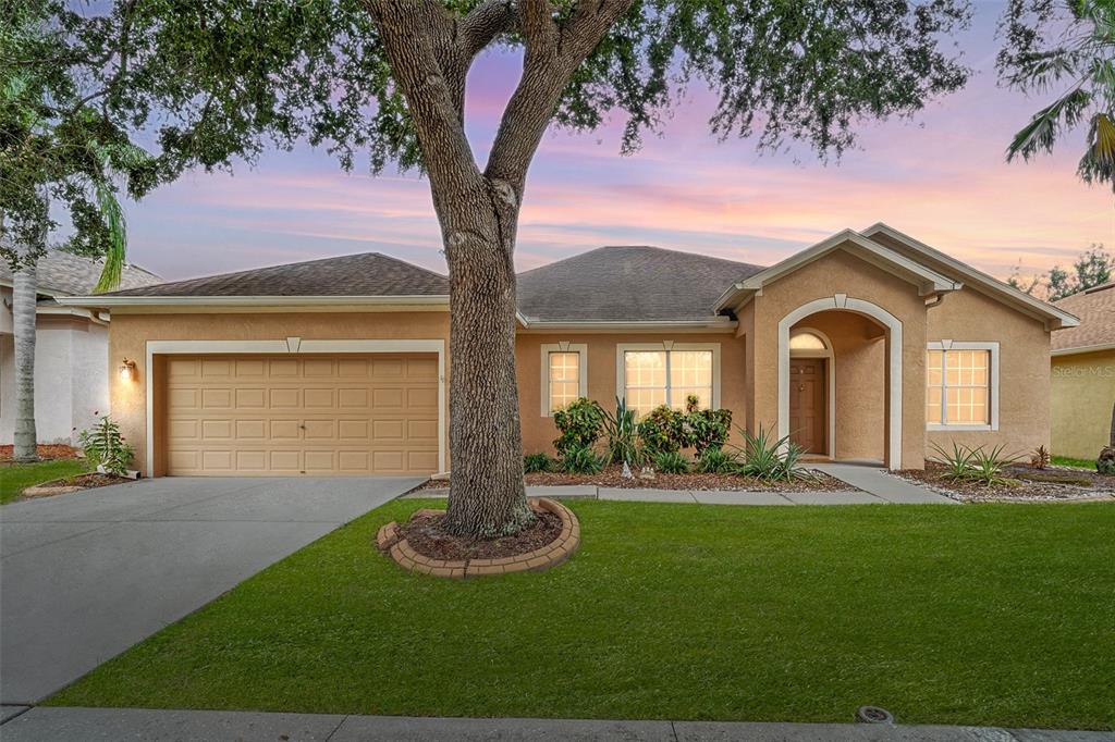 10903 Wildcat Drive Riverview, FL 33579 - Photo 1 of 45 a front view of a house with garden