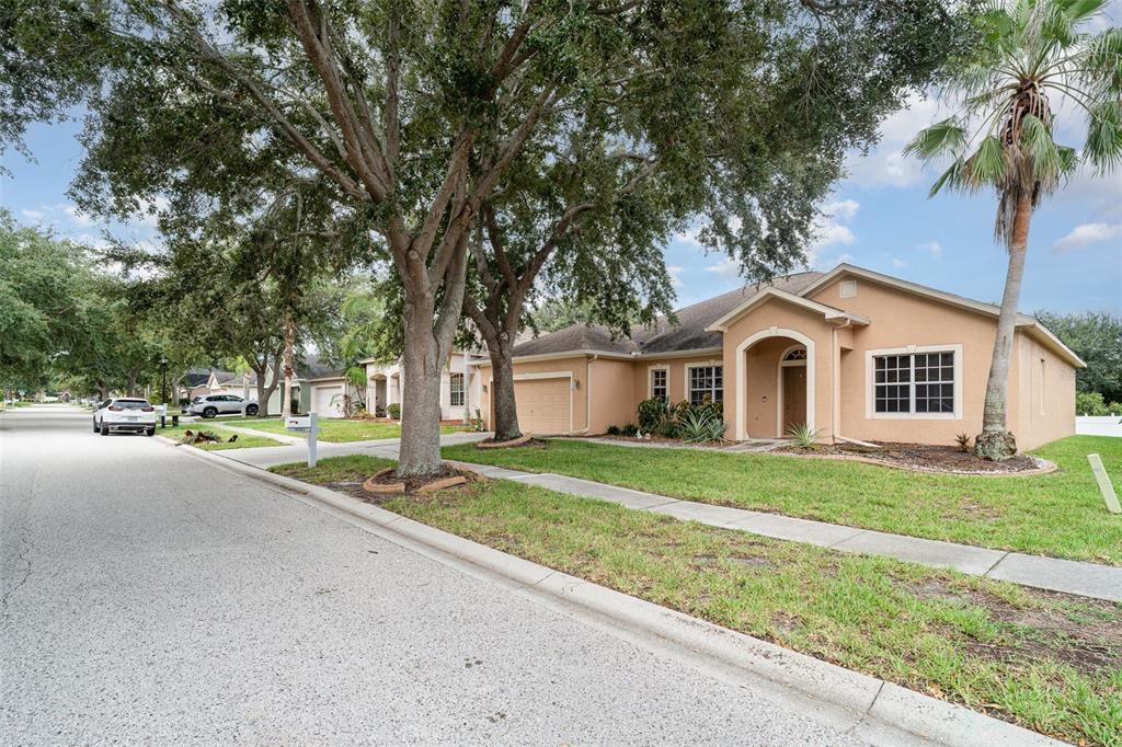 10903 Wildcat Drive Riverview, FL 33579 - Photo 30 of 45 a view of house with outdoor space and tree s