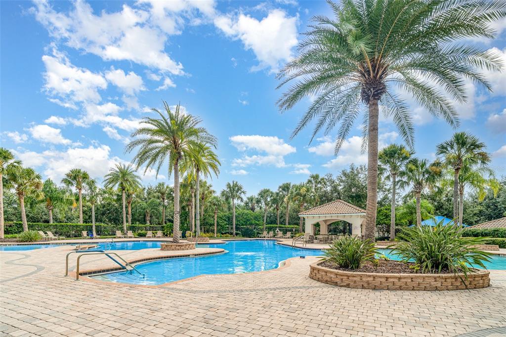 10903 Wildcat Drive Riverview, FL 33579 - Photo 36 of 45 a view of a swimming pool with a garden