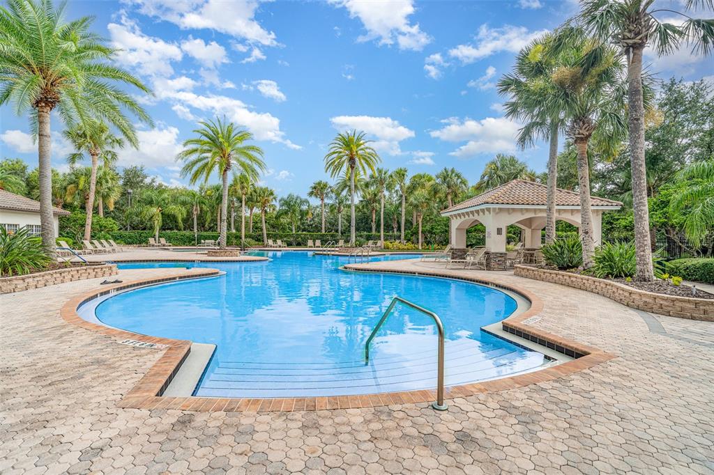 10903 Wildcat Drive Riverview, FL 33579 - Photo 37 of 45 a view of a swimming pool with a patio