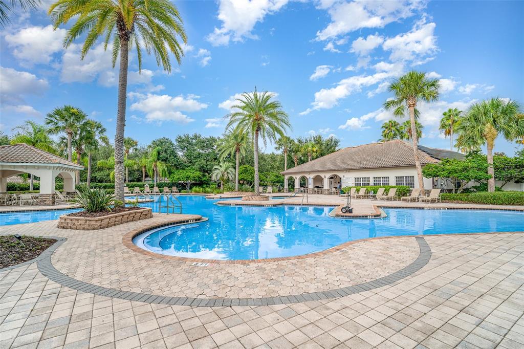 10903 Wildcat Drive Riverview, FL 33579 - Photo 39 of 45 a view of outdoor space yard swimming pool and patio