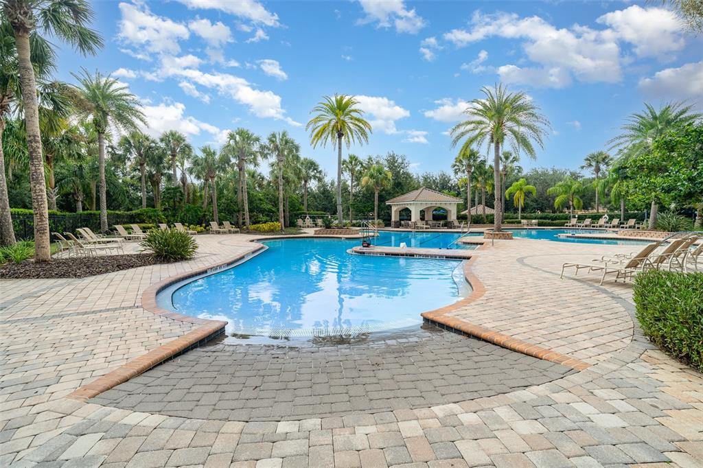 10903 Wildcat Drive Riverview, FL 33579 - Photo 40 of 45 a view of a swimming pool with lounge chair