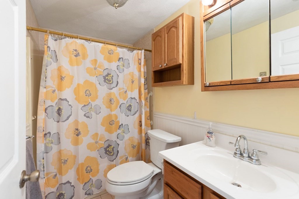 205 Ferry Street, Unit 409 Everett, MA 02149 - Photo 20 of 24 a bathroom with a sink a toilet and a mirror