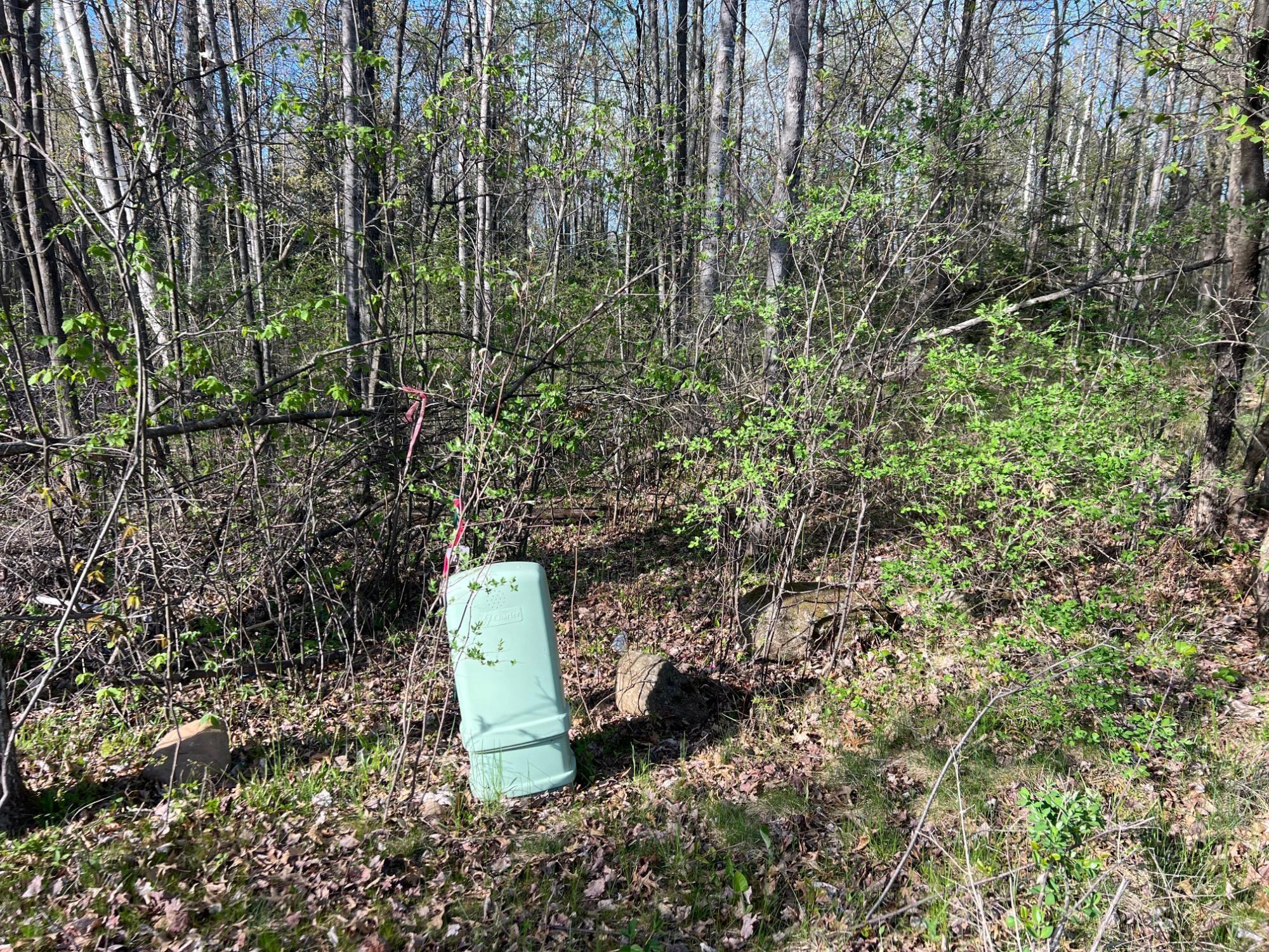 Lot 9-10 Pfeifer Road Tomahawk, WI 54487 - Photo 12 of 21 Gallery Image 12