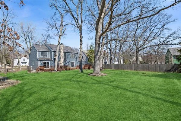 a view of a big yard with large trees