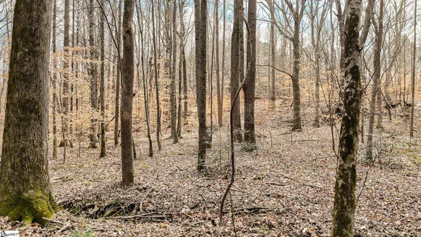 $365,000 | 0 Lake Road, Clinton, SC 29325