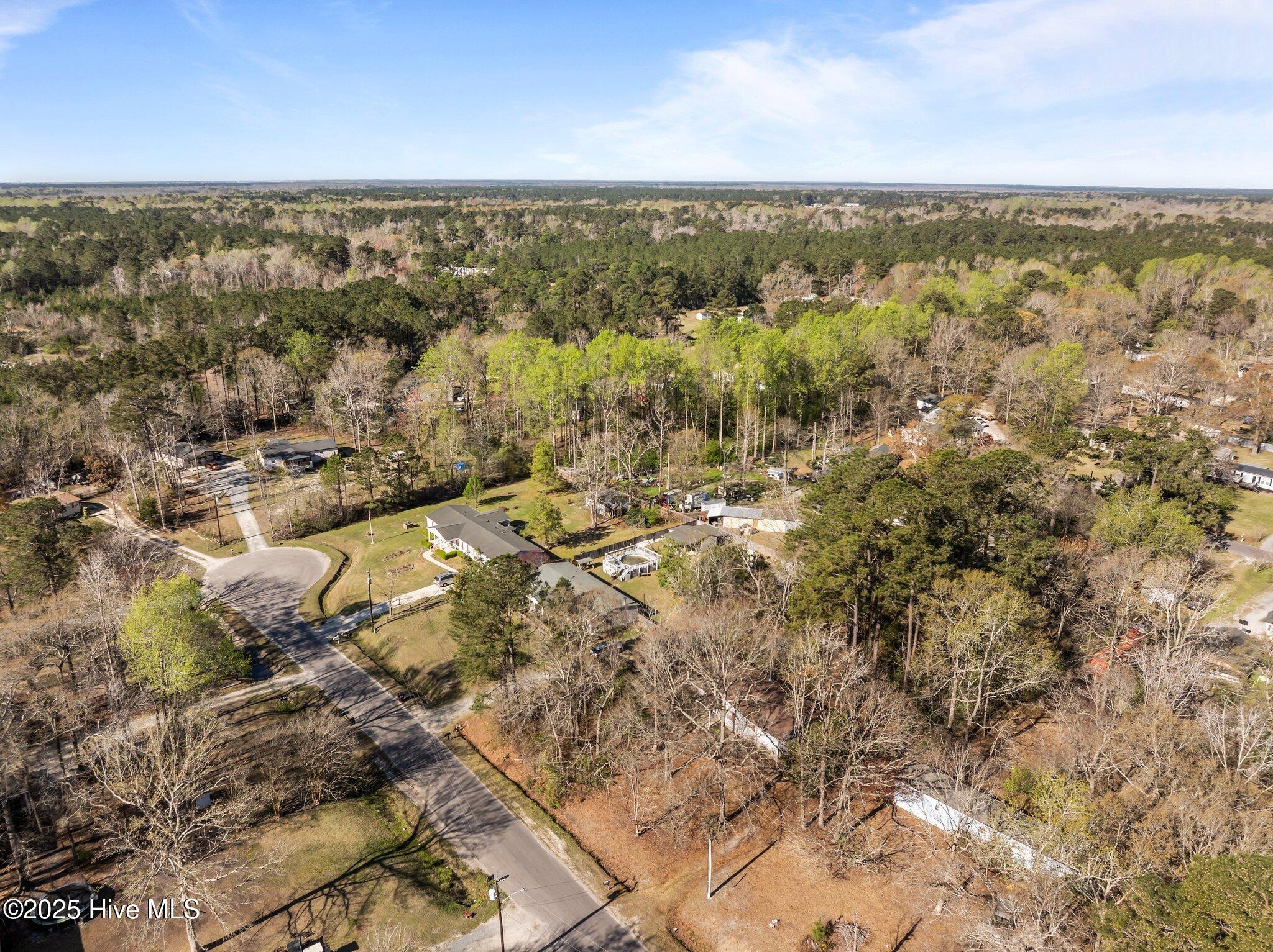 95 Remington Road Rocky Point, NC 28457 - Photo 46 of 49 11-web-or-mls-DJI_20250327095748_0464_D