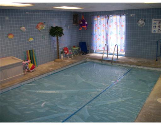 1011 Hoffmeyer Road Carnegie, PA 15106 - Photo 12 of 12 Swimming Pool/Hot Tub/Sauna.