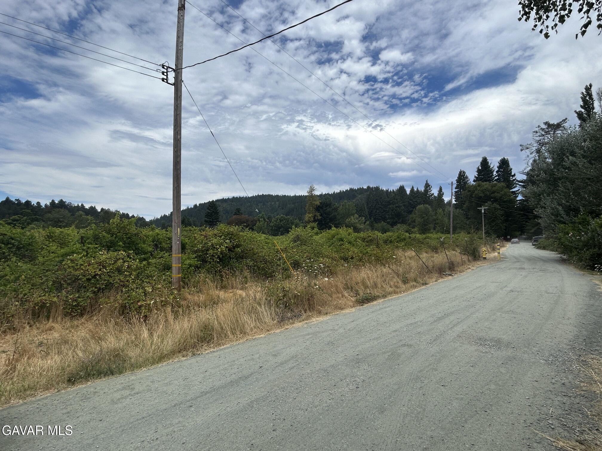 774 Boy Scout Road Myers Flat, CA 95554 - Photo 17 of 20 image2 (9)