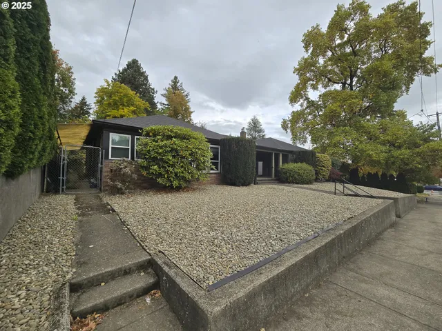 a view of a backyard