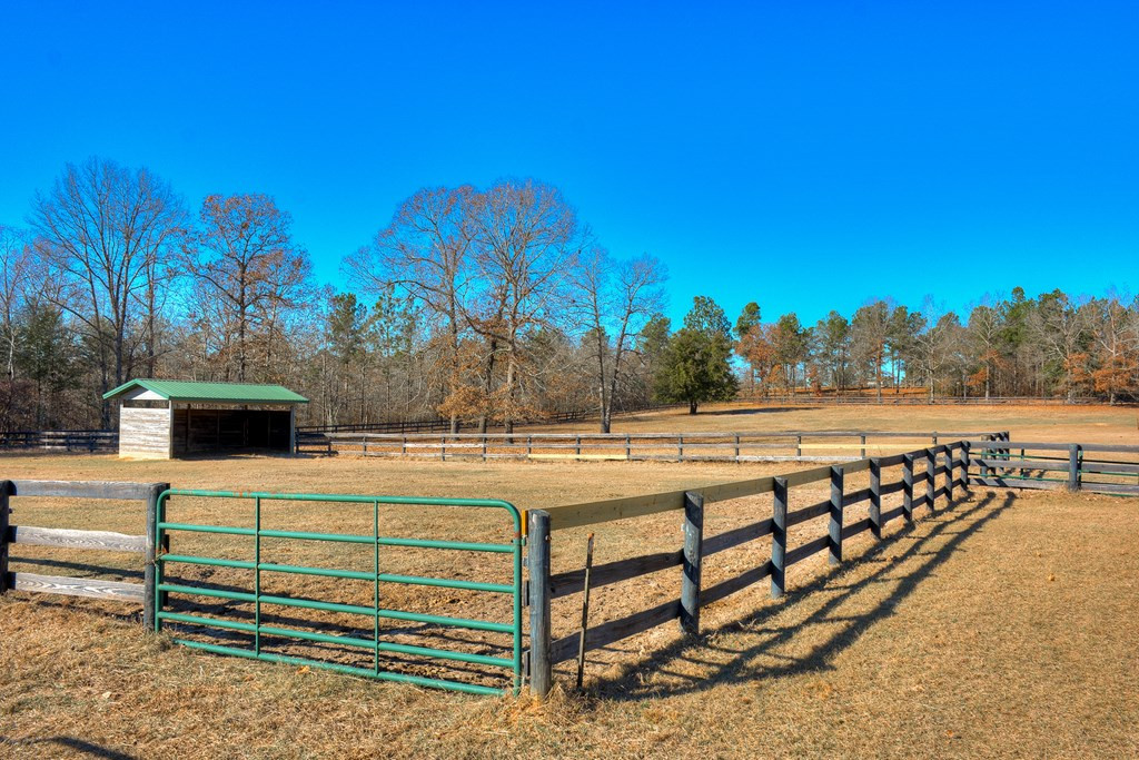 448 Long Cane Road Williston, SC 29853 - Photo 15 of 53