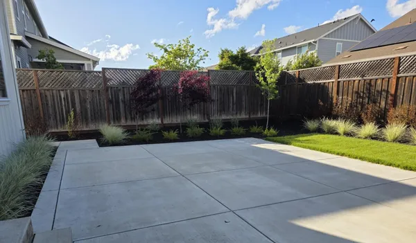 a view of backyard with potted plants and a large tree